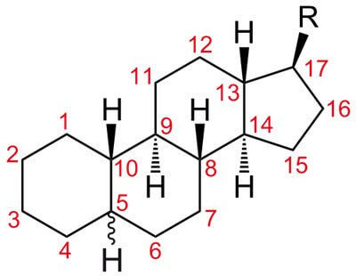 Chemical nature of hormones