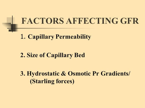 Factors determining GFR