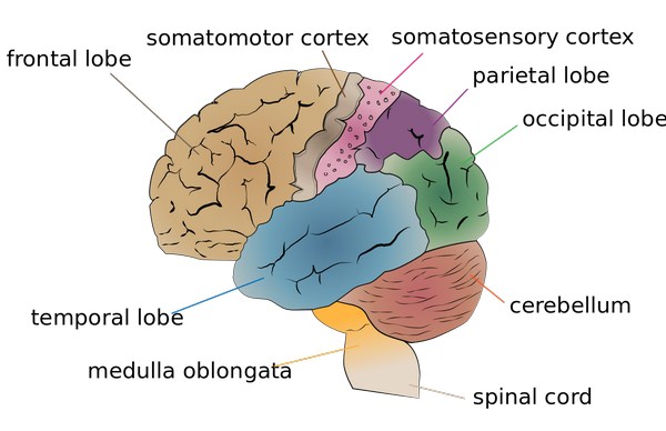 General Considerations