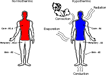 Ways of increasing heat production